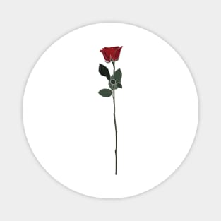 Flora Vignette : Red Rose Magnet